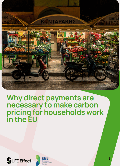 Why direct payments are necessary to make carbon pricing for households work in the EU