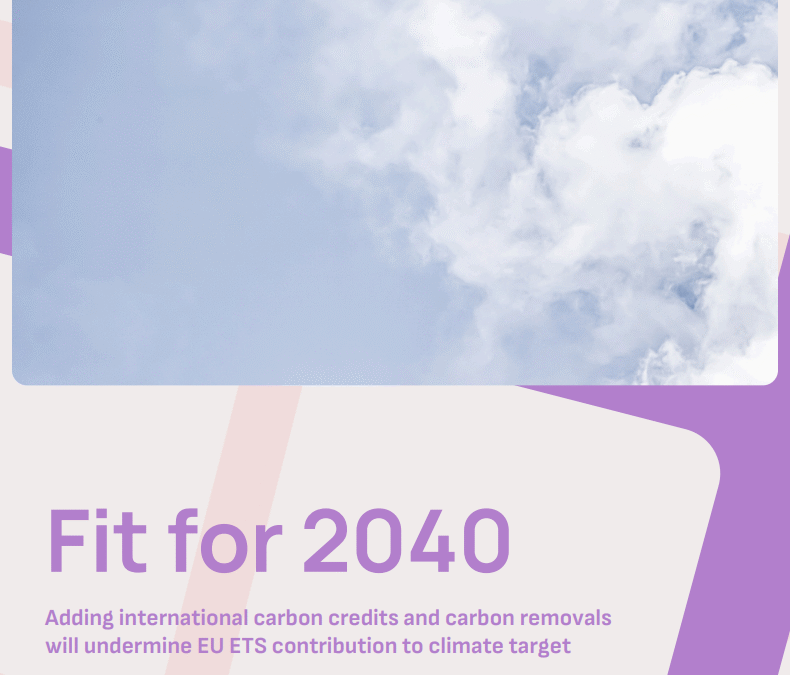 Flexibilities in 2040 target risk breaking the EU carbon market – study