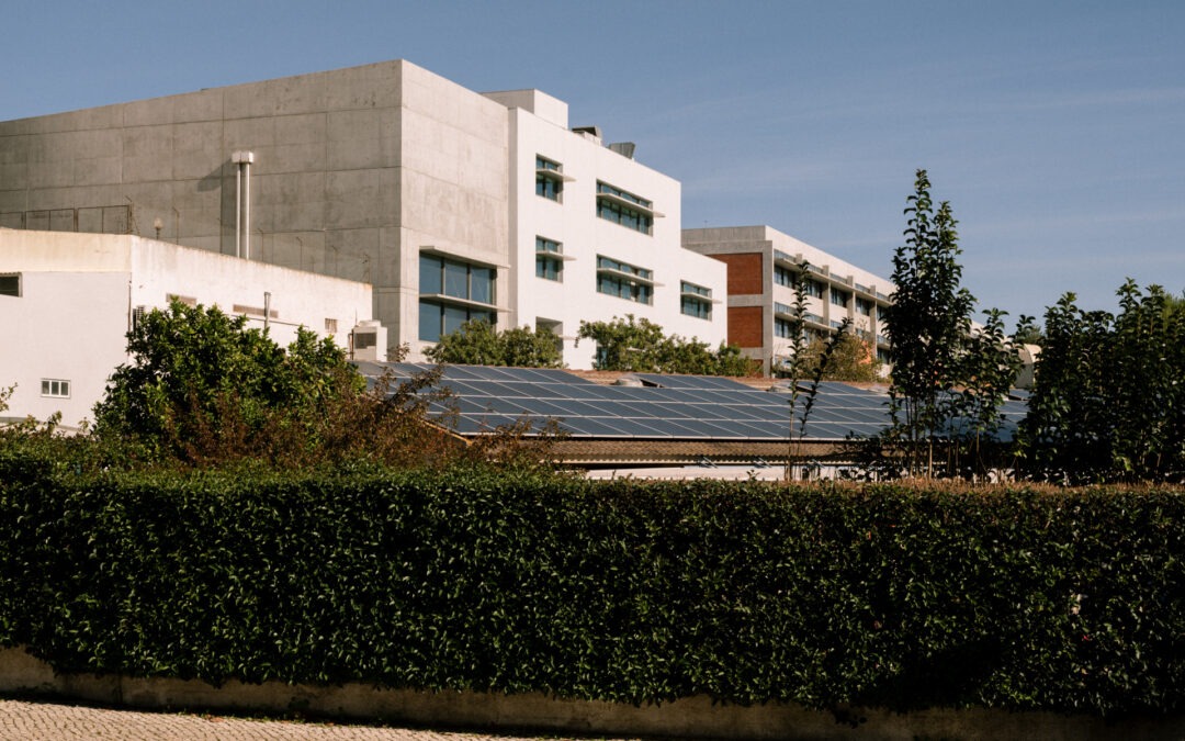Managing the risk of a high ETS2 carbon price for households