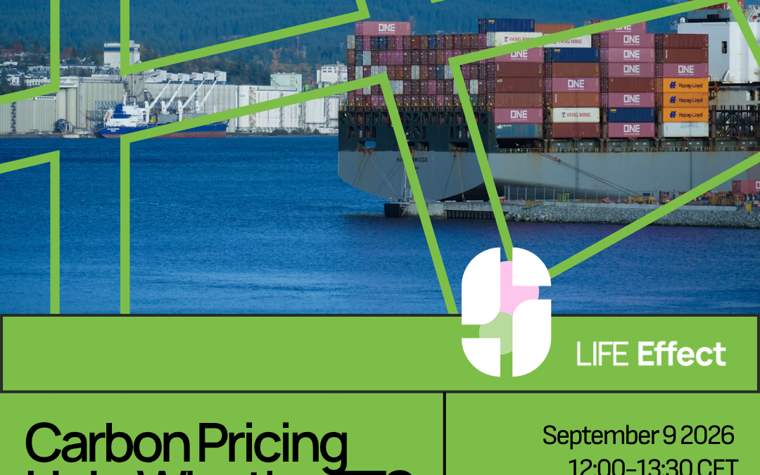 Carbon Pricing Hub: Why the ETS must deliver for people