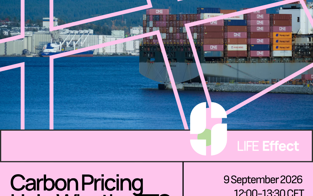 Carbon Pricing Hub: Why the ETS must deliver for people
