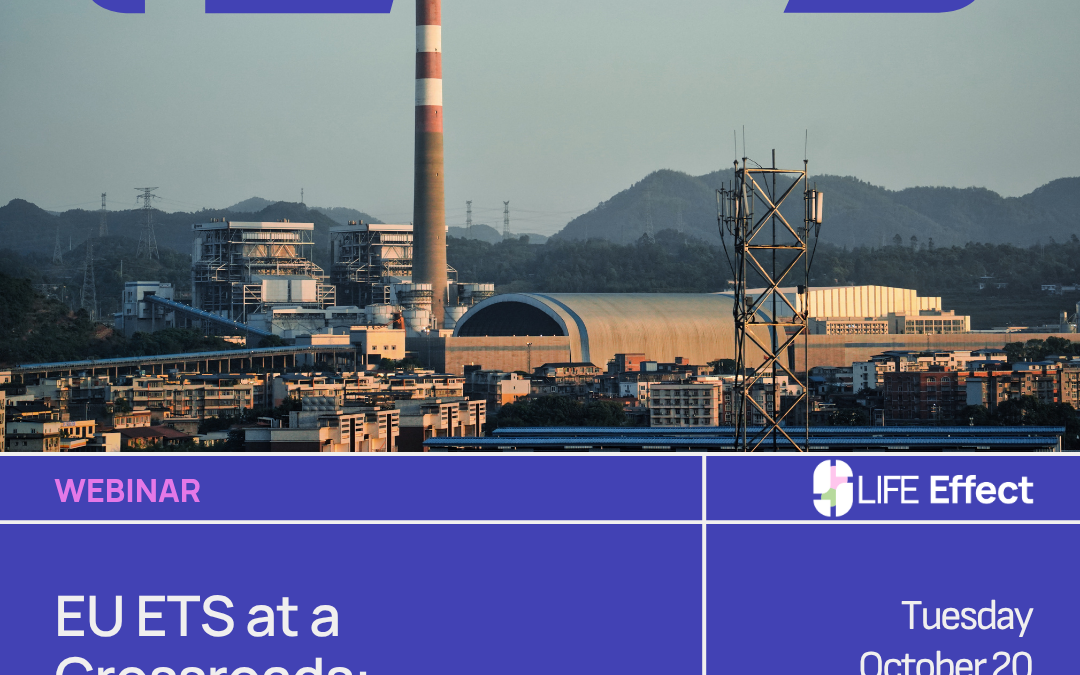 EU ETS at a crossroads: trends, challenges and the way forward